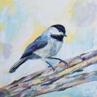 Chickadee