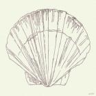 Coastal Breeze Shell Sketches V Silver
