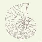 Coastal Breeze Shell Sketches VII Silver