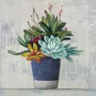 Succulent Still Life I Navy