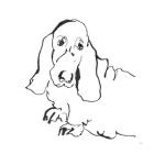 Line Dog Basset Hound