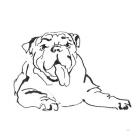 Line Dog Bulldog I