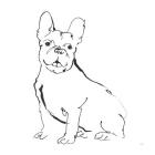 Line Dog French Bulldog II