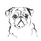 Line Dog Pug I