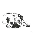 Line Dog Pug II