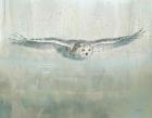 Soaring Neutral