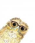 Owl in Glasses