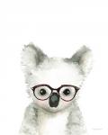 Koala in Glasses