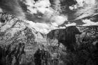 Scouts Landing I