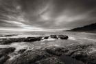 Kalaloch Beach