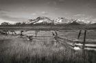 Stanley Basin Fence