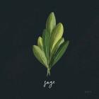 Herbs II Black