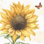 Sunflower Splendor IX