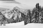 Tatoosh Range BW