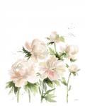 Peonies I