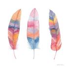 Boho Feathers I