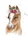 Floral Pony