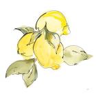 Lemons I