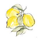 Lemons III
