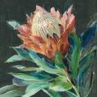 Deep Protea Crop