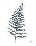 Fern I