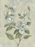 Sage Magnolia