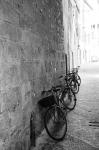 Bicycles in the Alley