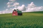 Palouse Region Red Barn I