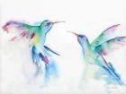 Hummingbirds I