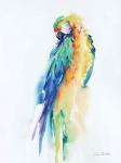 Colorful Parrots II