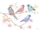 Flight Friends V