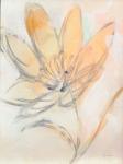 Flower Loops  II