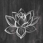 Lotus Gray
