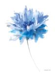Bold Blooming I