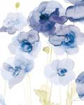 Delicate Poppies III Blue
