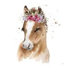 Floral Pony Pink Sq