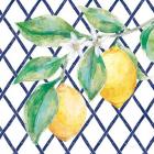 Everyday Chinoiserie Lemons II