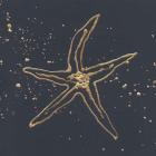 Gold Starfish II