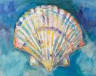 Scallop Shell