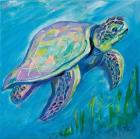 Sea Turtle Swim
