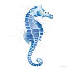 Seahorse