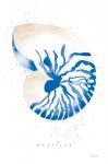 Nautilus