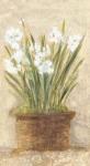 Garden White Narcissus Panel
