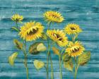 Cottage Sunflowers Teal