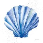 Scallop Shell Sq