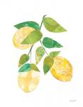 Summer Lemons I