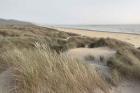 Oregon Dunes