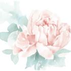 Poetic Blooming I Pink