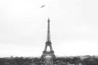 A Birds View of Paris Crop I