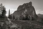 Boulder Pass Glacier National Park BW